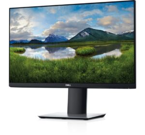 Dell P2319H