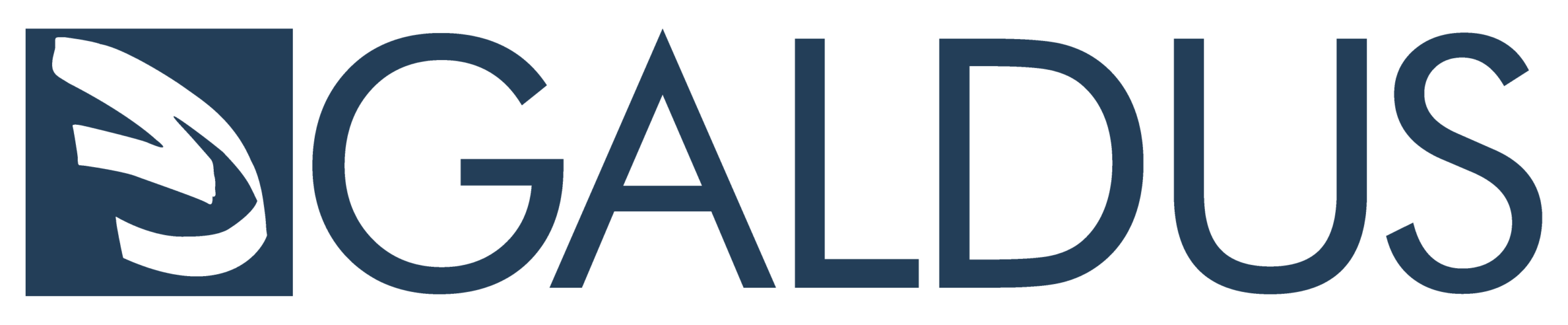 Hardware Galdus